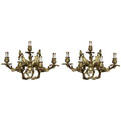 Coppia di lampade da parete in bronzo dorato in stile Luigi XVI