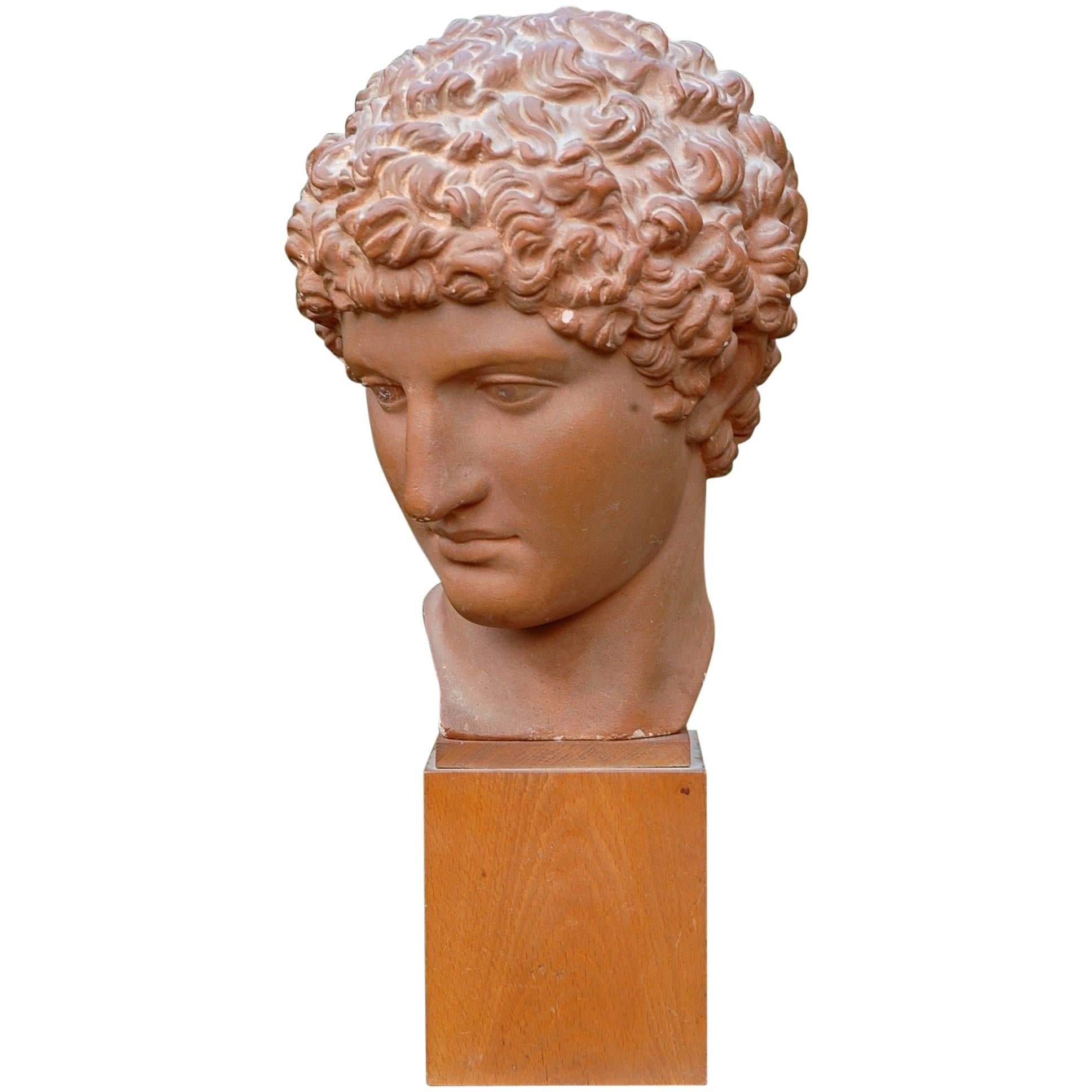 Great Antique and Signed Plaster Bust / Head on a Wooden Base Greek God Hermes