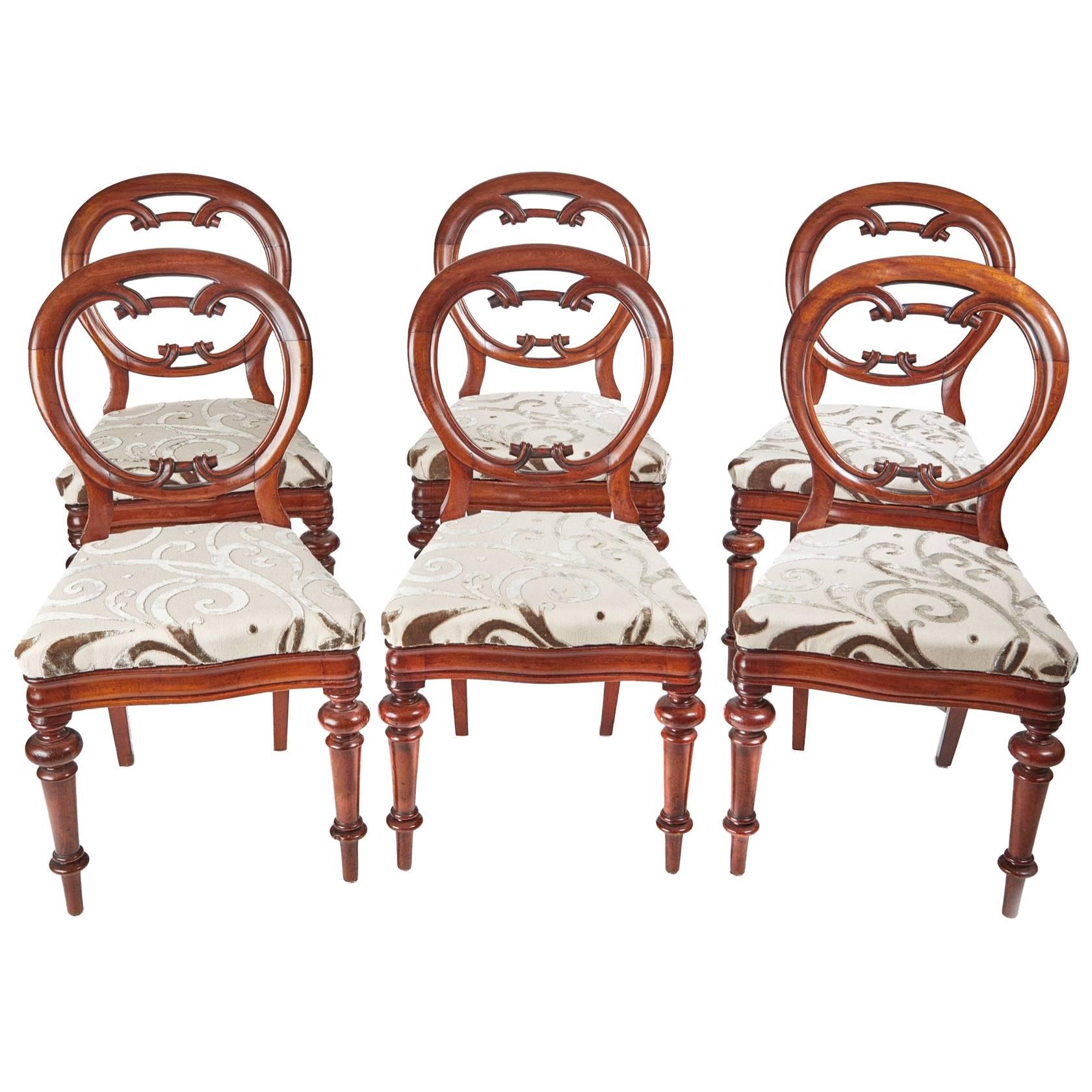 Superb Set of Six Mahogany Balloon Back Dining Chairs For Sale