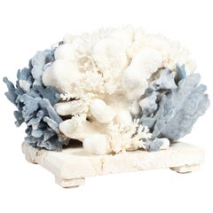 Blue and White Coral Centrepiece