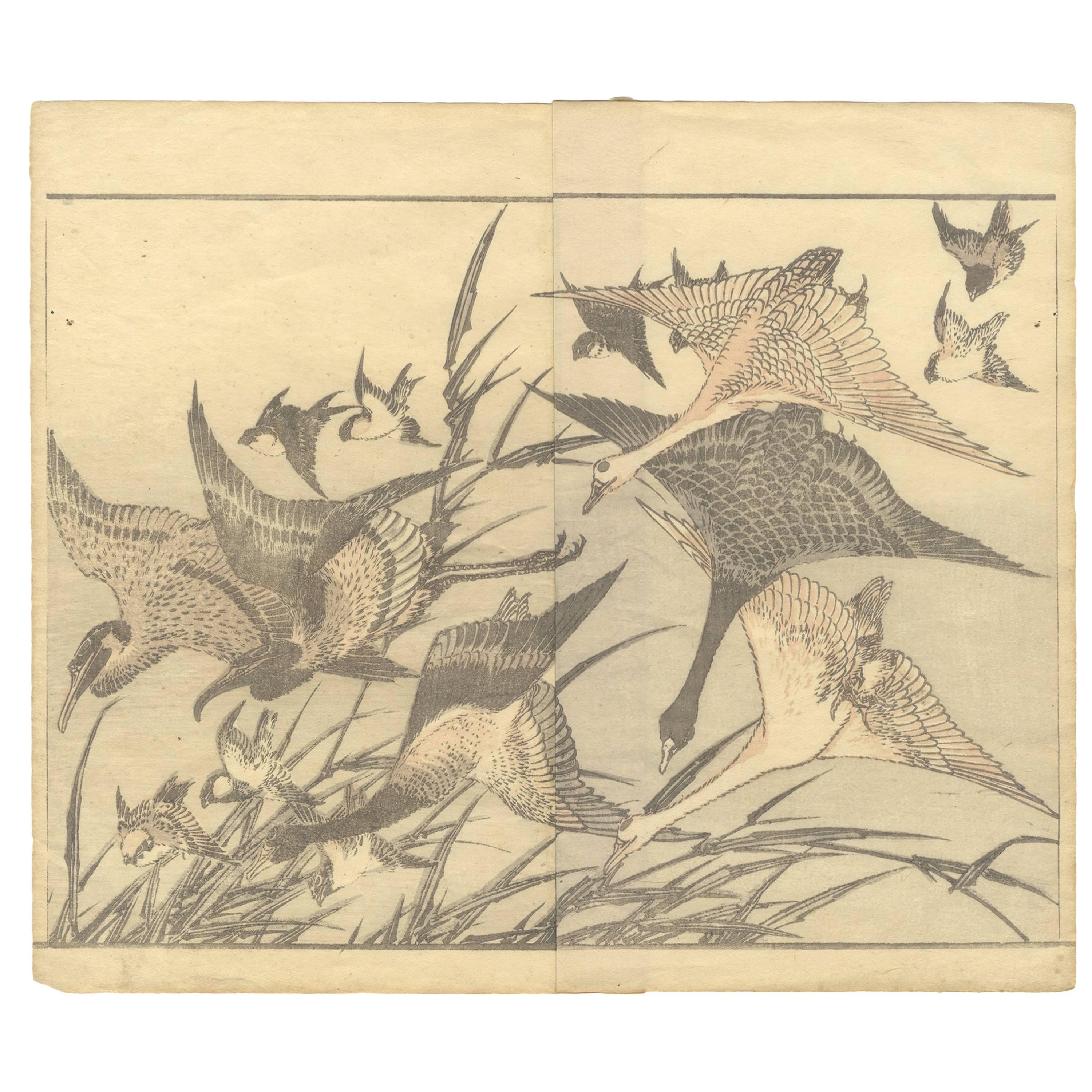 Hokusai 19th Century Ukiyo-e Japanese Woodblock Print Manga Bird and Flower For Sale