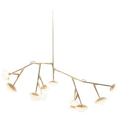 Myriad Long Modular Chandelier in Custom Finishes, Brass 6