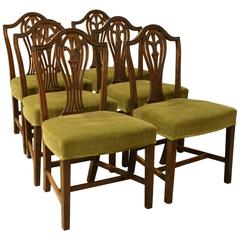 Set of Six Mahogany Hepplewhite Chairs
