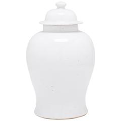 Chinese Small Cloud Baluster Jar 12