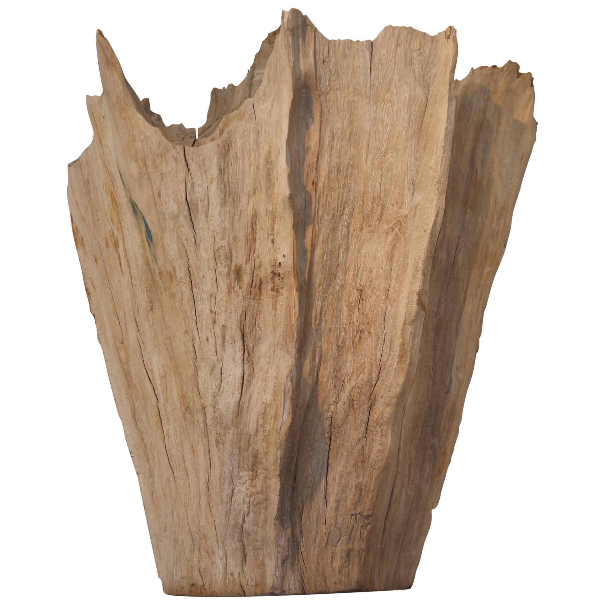 Organic Driftwood as Sculpture