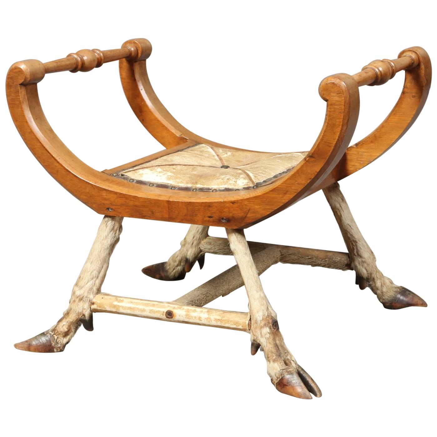 19th Century Taxidermy Stool For Sale