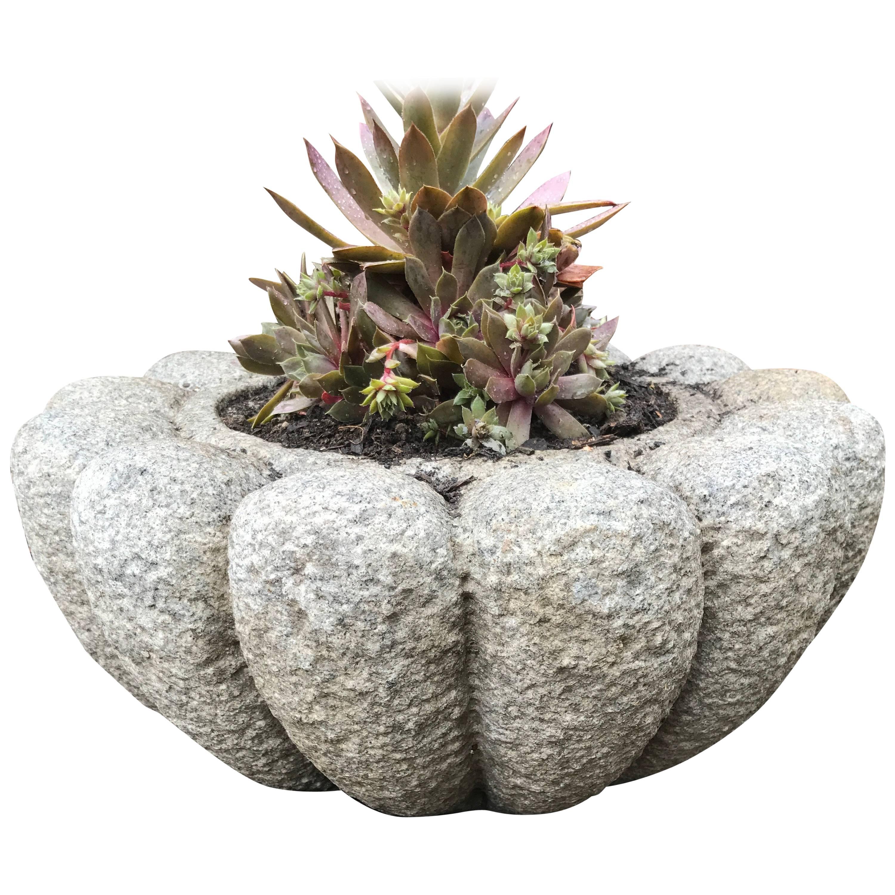 Japan Chrysanthemum Stone Planter Water Basin, perfect size