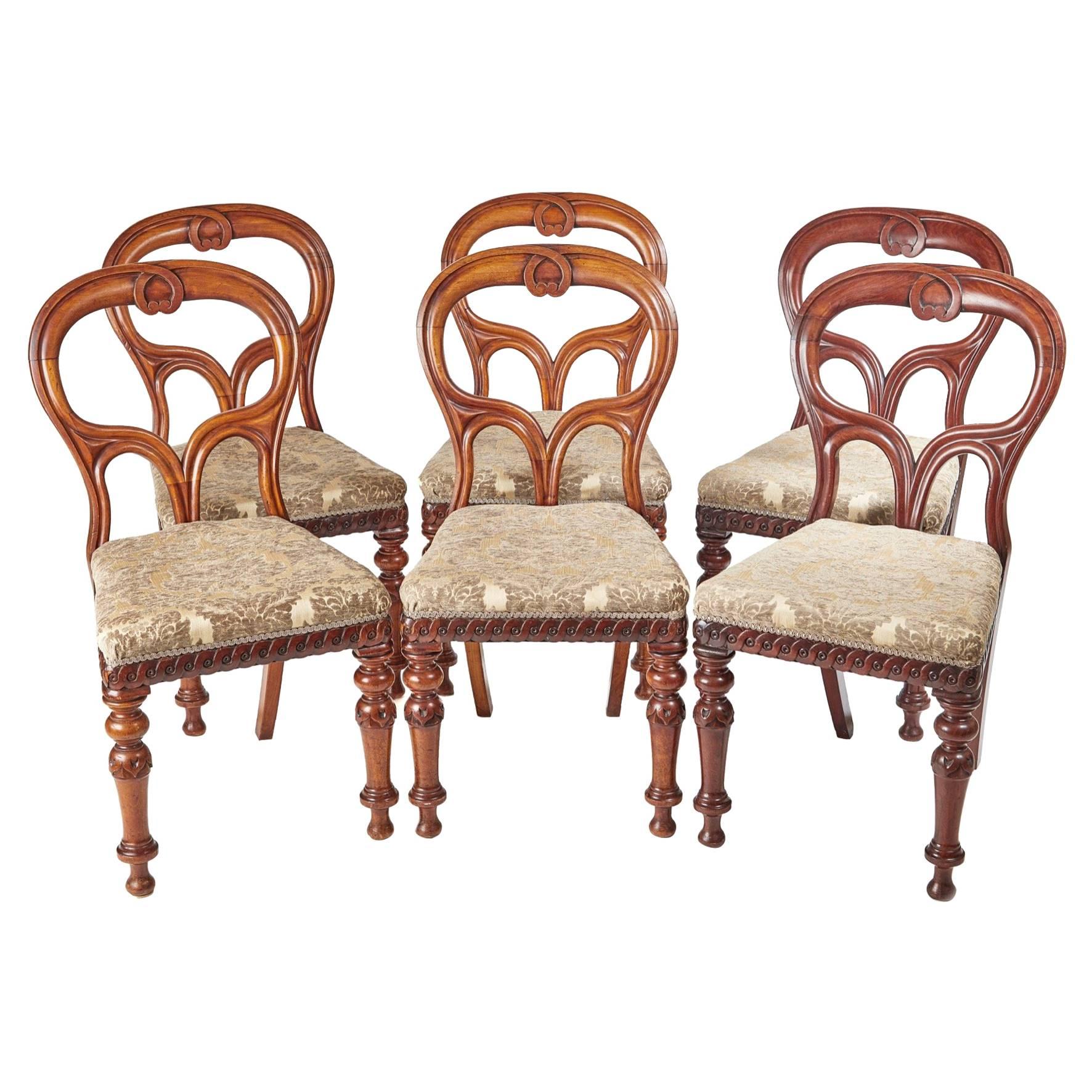 Outstanding Quality Set of Six Scottish Mahogany Dining Chairs For Sale