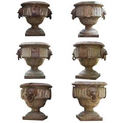 Beautiful Large Cast Iron Garden Vases, Probably French, circa 1820 3