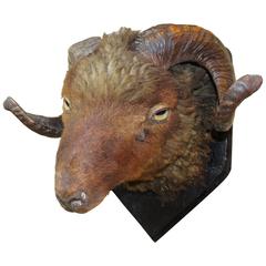 Mounted Antique Ram's Head Taxidermy