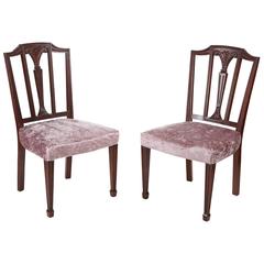 Pair of Mahogany Hepplewhite Side Chairs 2