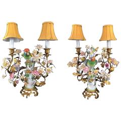 Antique Pair of French/German Porcelain Parrot Lamps 19th Century, After Meissen