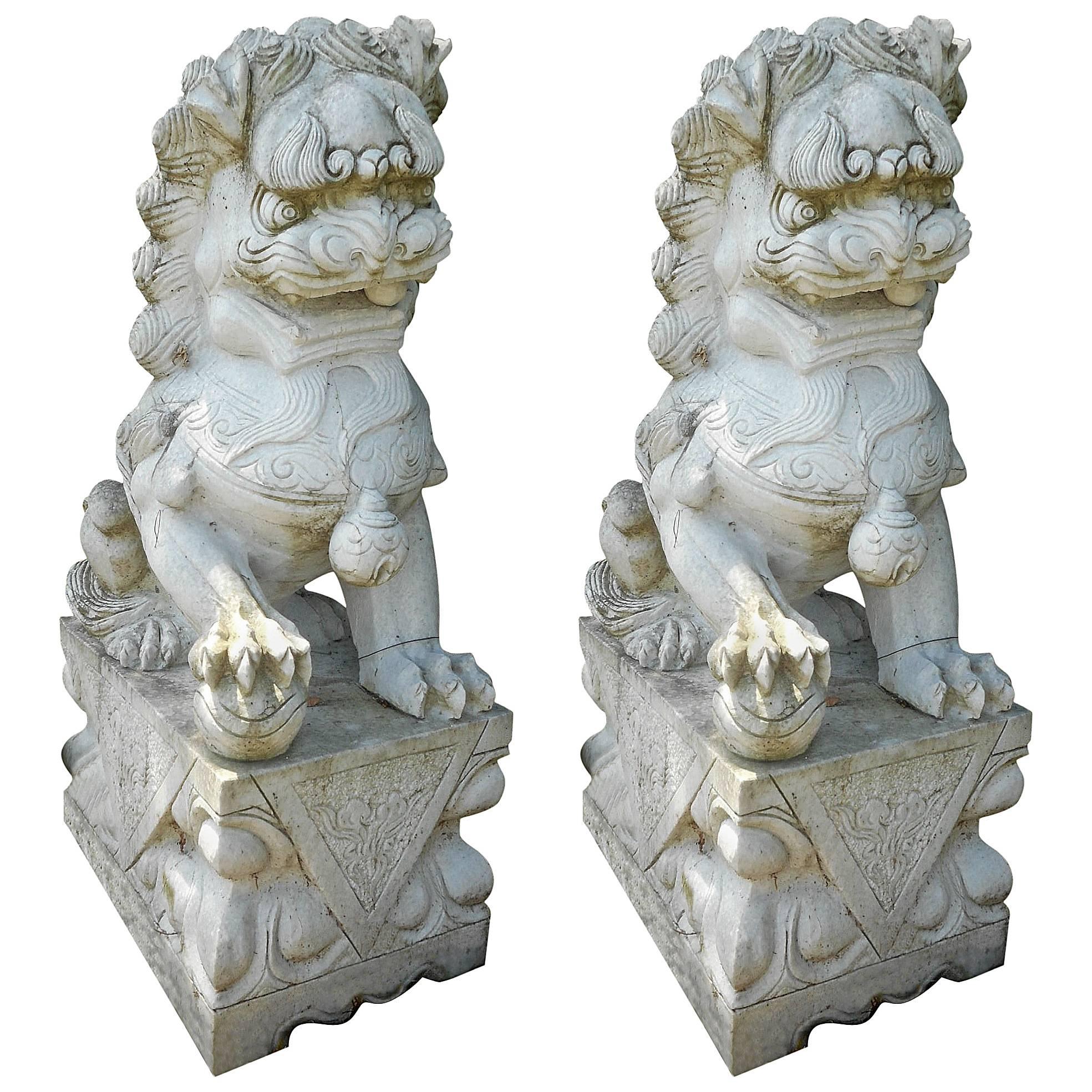 Impressive Pair of Marble Chinese Foo Dog Statues