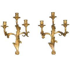 Pair of Louis XV Sconces