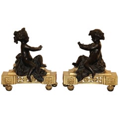 Pair of Louis XVI Giltbronze and Patinated Chenets