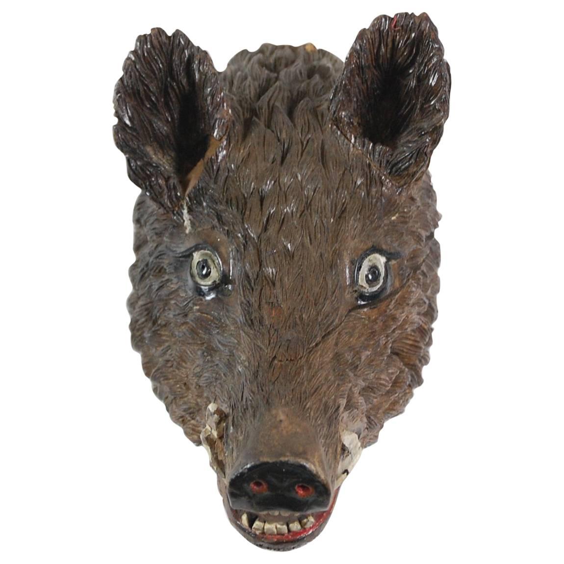 Early 20th Century Black Forest Carved Wood Trophy Boar Head