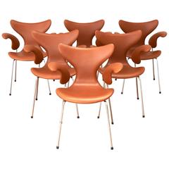 Six Pieces Rare Arne Jacobsen 3208 Lily Chairs
