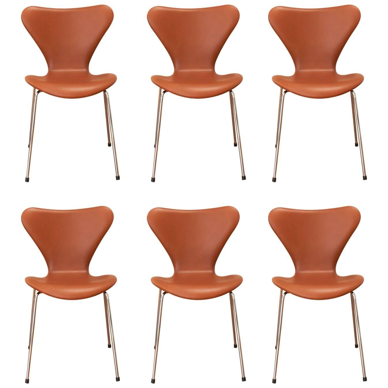 Six Pieces of Arne Jacobsen 3107 Chairs For Sale