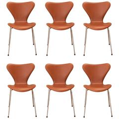 Six Pieces of Arne Jacobsen 3107 Chairs