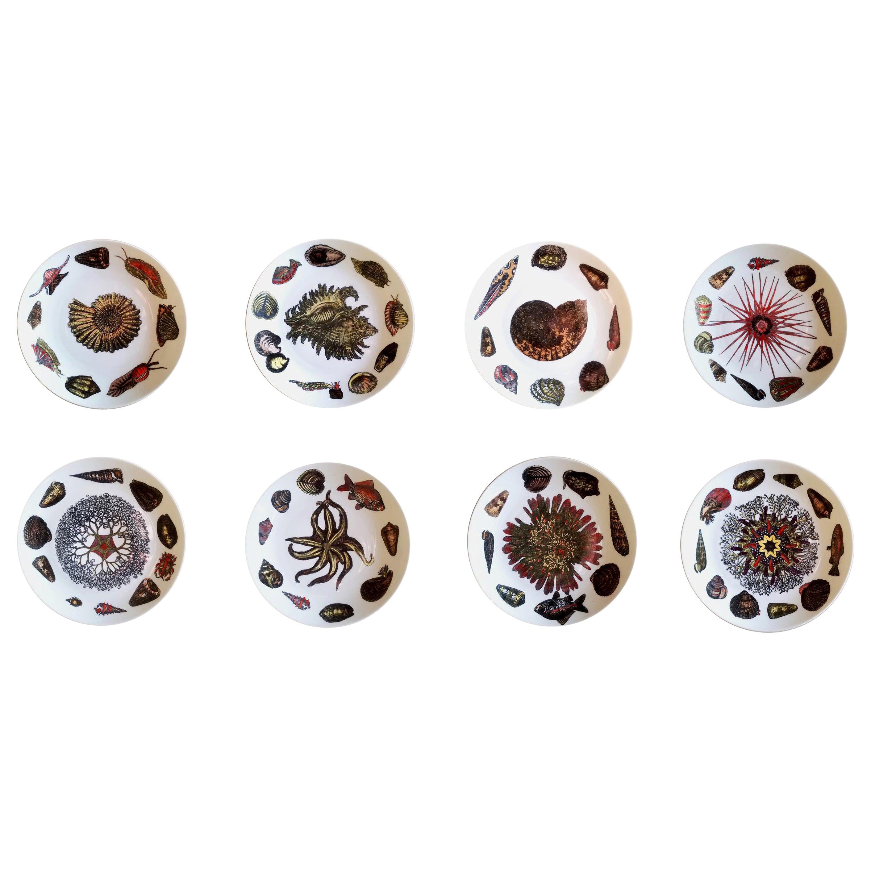 Piero Fornasetti Set of  Dinner Plates Decorated with Urchins and Sea Shells For Sale
