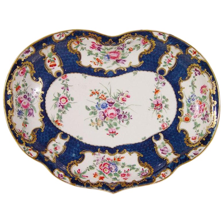 18thcentury First Period Worcester Porcelain Rococo Botanical Blue-Scale Dish For Sale