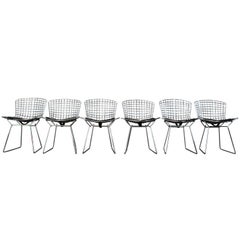 Set of Six Mid-Century Bertoia Side Chairs for Knoll
