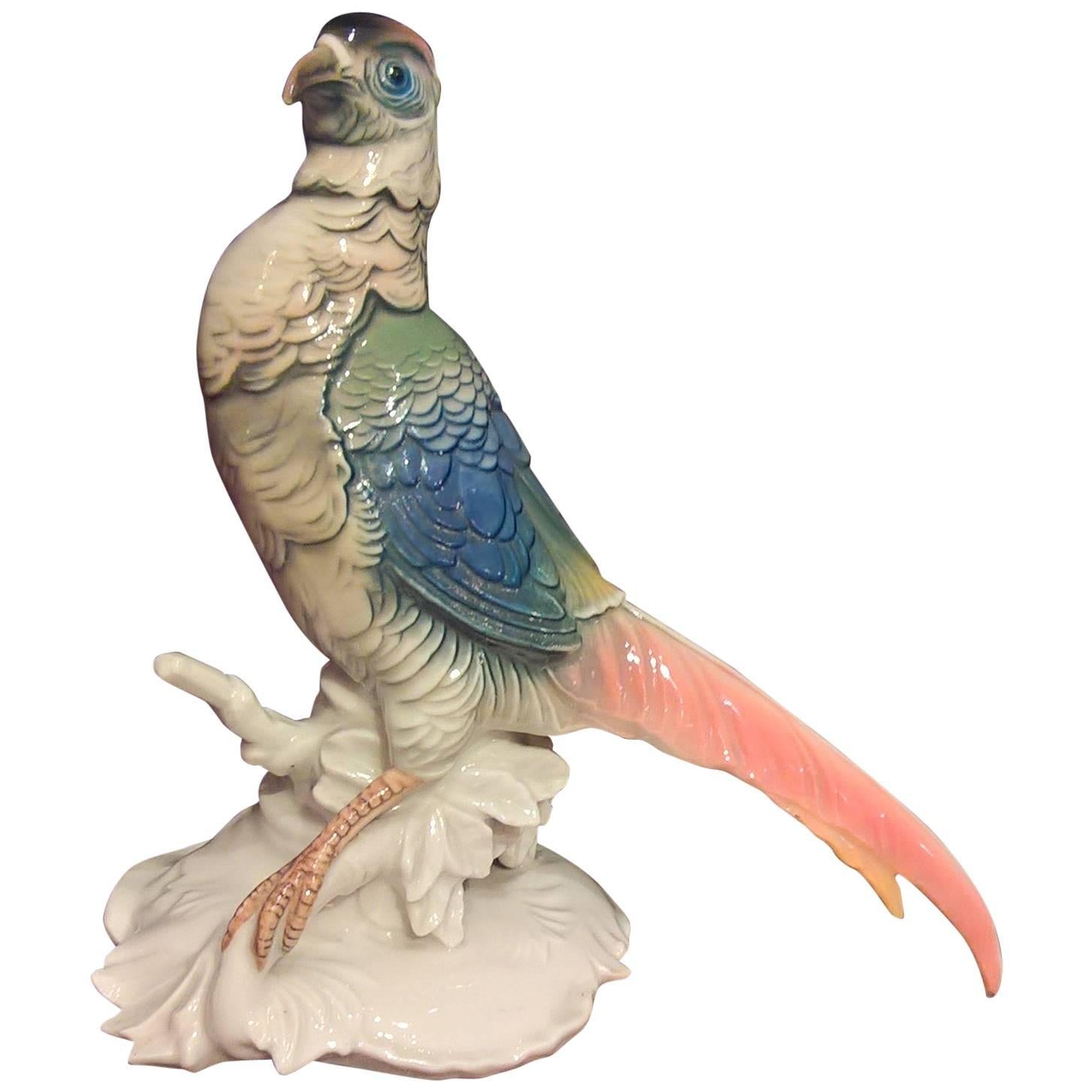 Early 20th Century German Porcelain Pheasant Bird Figure from Ens Porcelain