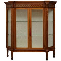 Antique Edwardian Mahogany Low Display Cabinet