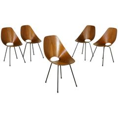 Five Medea Chairs by Vittorio Nobili for F.lli Tagliabue Bentwood Metal, Vintage