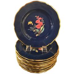 Set of 12 Copeland English Botanical Accent Plates 12