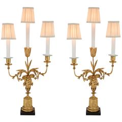 Pair of Italian Early 19th Century Louis XVI Style Patinated and Giltwood Lamps