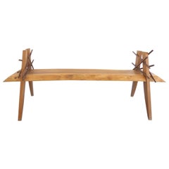 Brazilian Garapa Xingu Tribe Bench by Contemporary Artist Valeria Totti