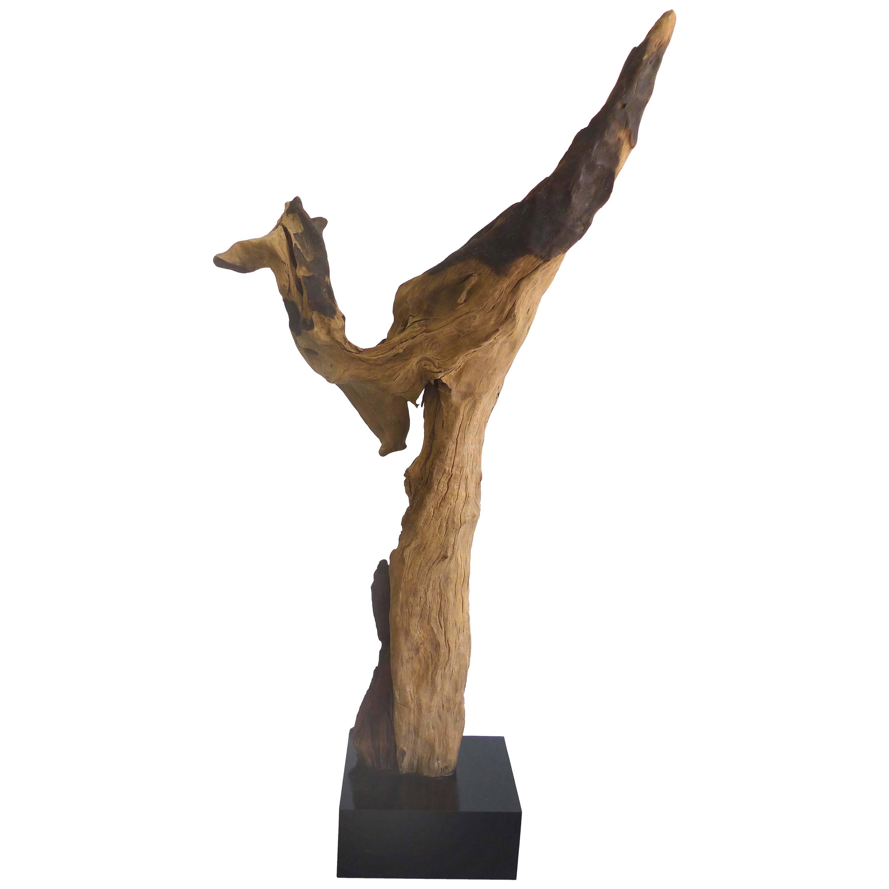 "Kangaroo" a Petrified Wood Sculpture from the Amazon by Artist Valeria Totti