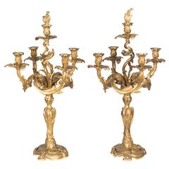 Pair of Louis XV Style Bronze Candelabra 1