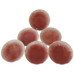 Set of Six Majolica Shell Coral Plates Sarreguemines, circa 1880 4