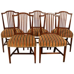Antique, Dining Chairs, Set of Five, Mahogany, Georgian, Sheraton, English c1800