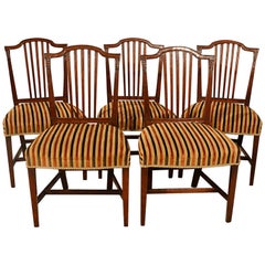 Antique Dining Chairs Set of Five Mahogany Georgian Sheraton English, circa 1800 3