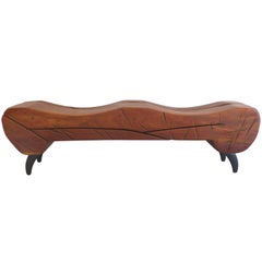 Ipe Wood Organic Modern Bench by Brazilian Artist Valeria Totti 5