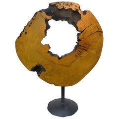 Monumental Amazon Kapok Tree Reclaimed Wood Sculpture by Artist Valeria Totti 5