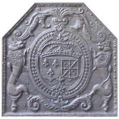 17th Century 'Arms of France and Navarre' Fireback