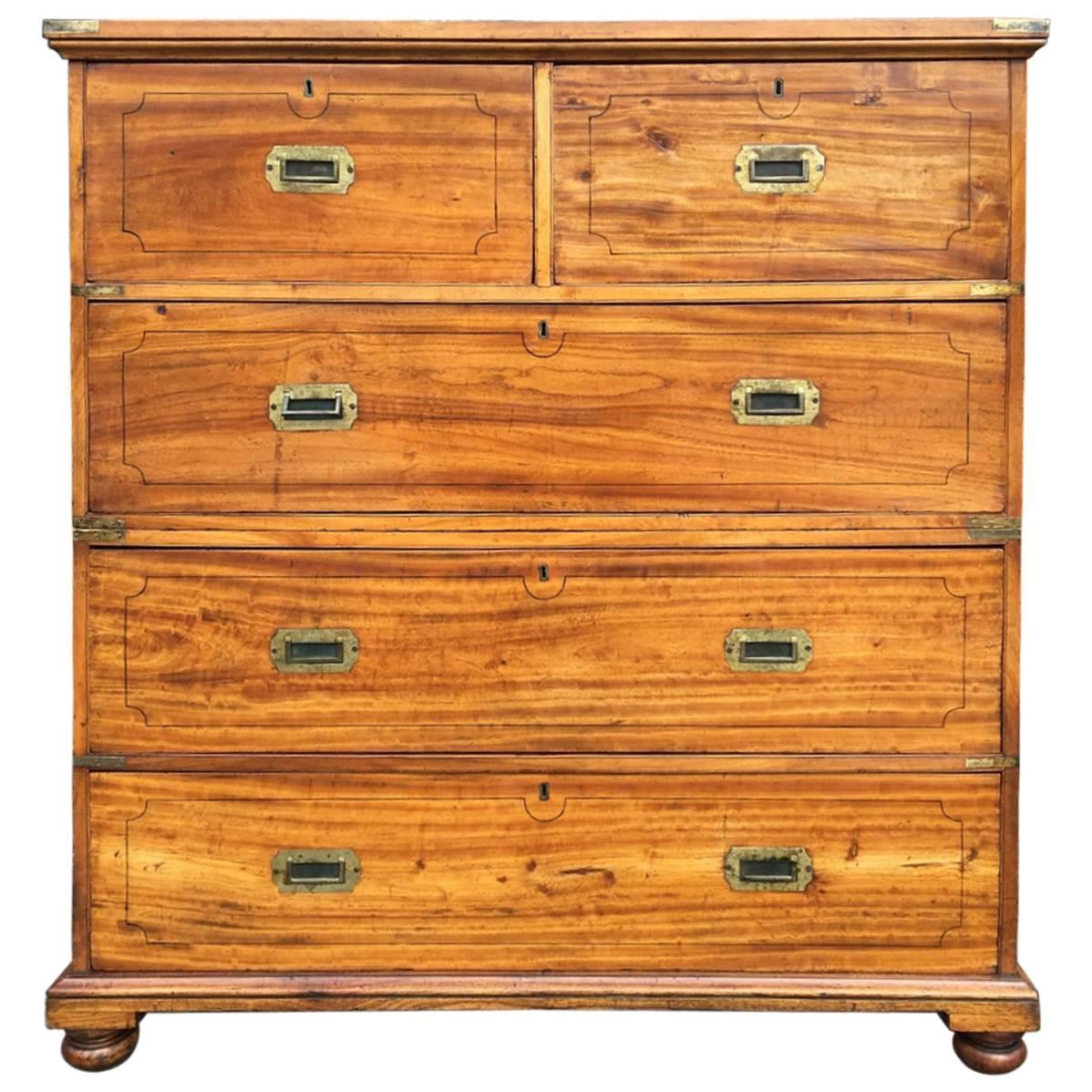 Mid-19th Century Camphor Wood Chest of Drawers For Sale
