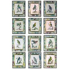 George Edwards Hand-Colored Set of 12 Engravings of Parrots, 1743-1764