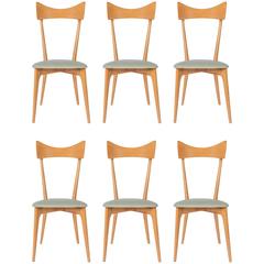 Set of Six Ico Parisi Dining Chairs 12