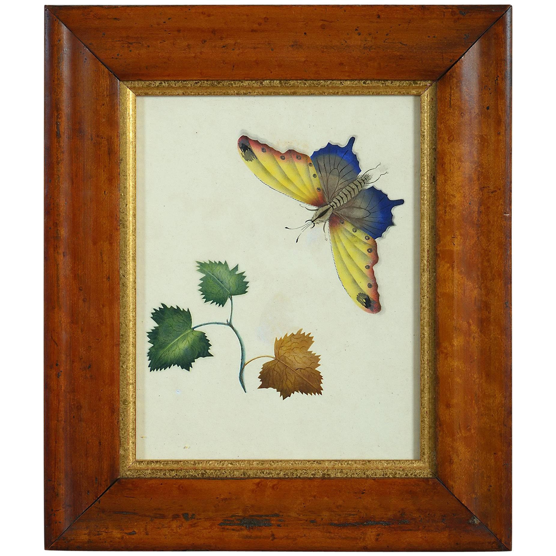 Mid-19th Century Watercolor of a Butterfly and Leaves