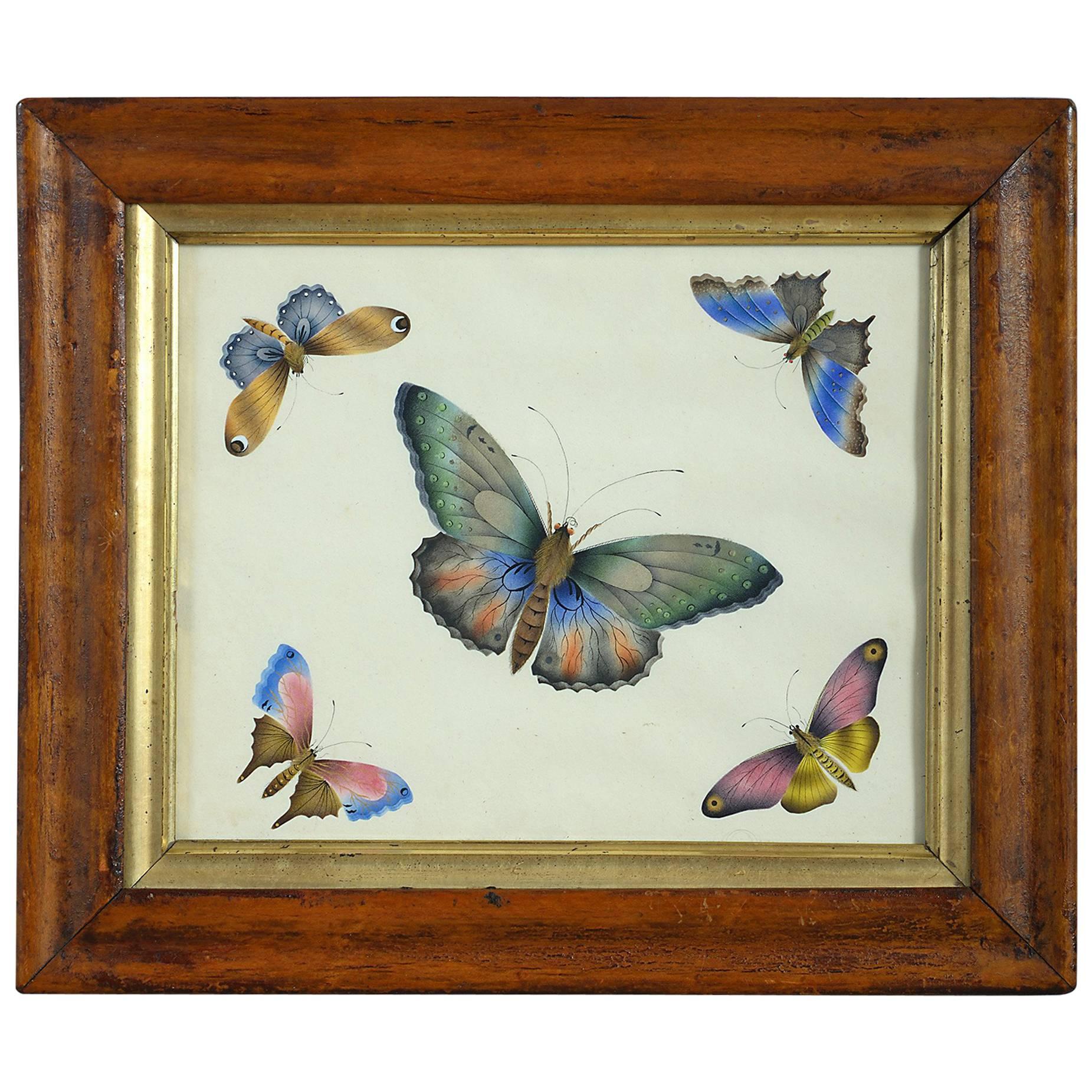 Mid-19th Century Watercolour of Butterflies