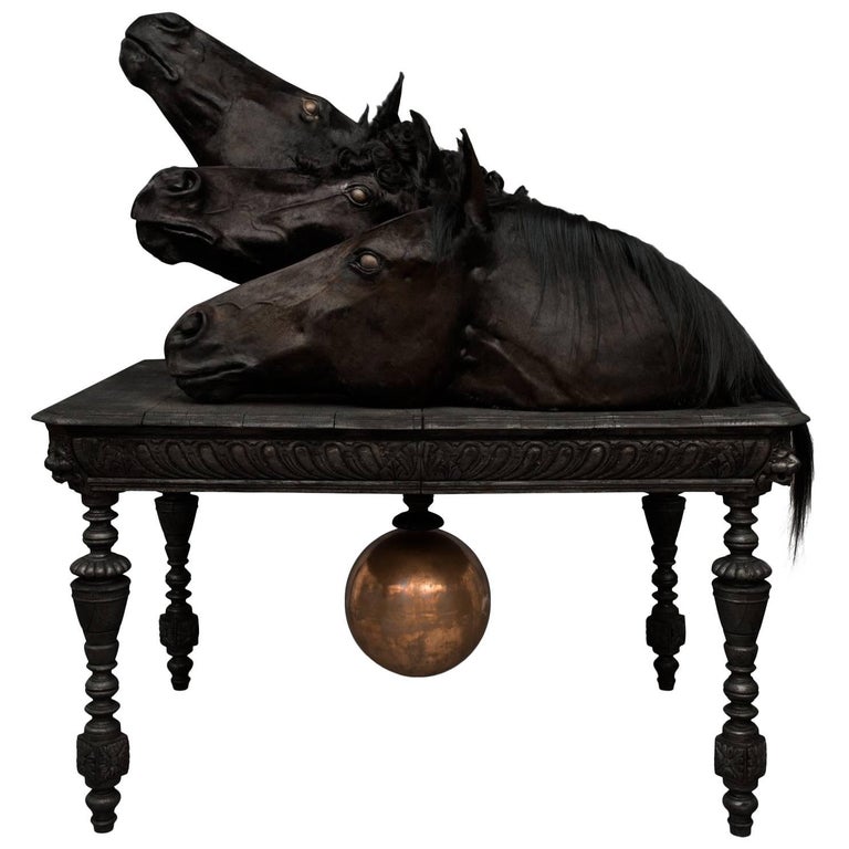 Taxidermy Horse Heads from Exhibition Tier at Moa by Sinke and Van Tongeren  at 1stDibs | horse taxidermy, taxidermy horse head for sale, moa head