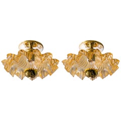 Pair Italian Gold  Murano Glass Flush Mount or Wall Mount Lights, circa 1960