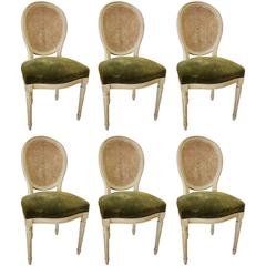 Set of Six Antique French Louis XVI-Style Dining Chairs with Canned Backs