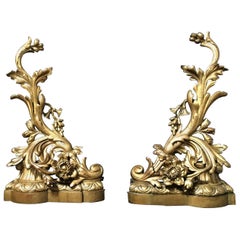 Pair of 19th Century Bronze Andirons