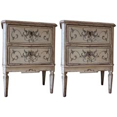 Two Matching 19th Century Small Gustavian Chests